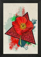 Red Poppy Light Framed Wall Art Poster Canvas Print Picture