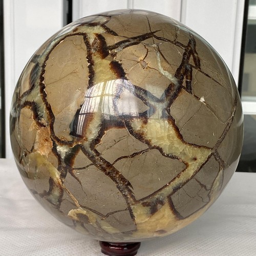 7880G Natural Turtle Back stone dragon crystal ball quartz mineral healing - Picture 10 of 12