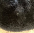 Bild 10 von 10
