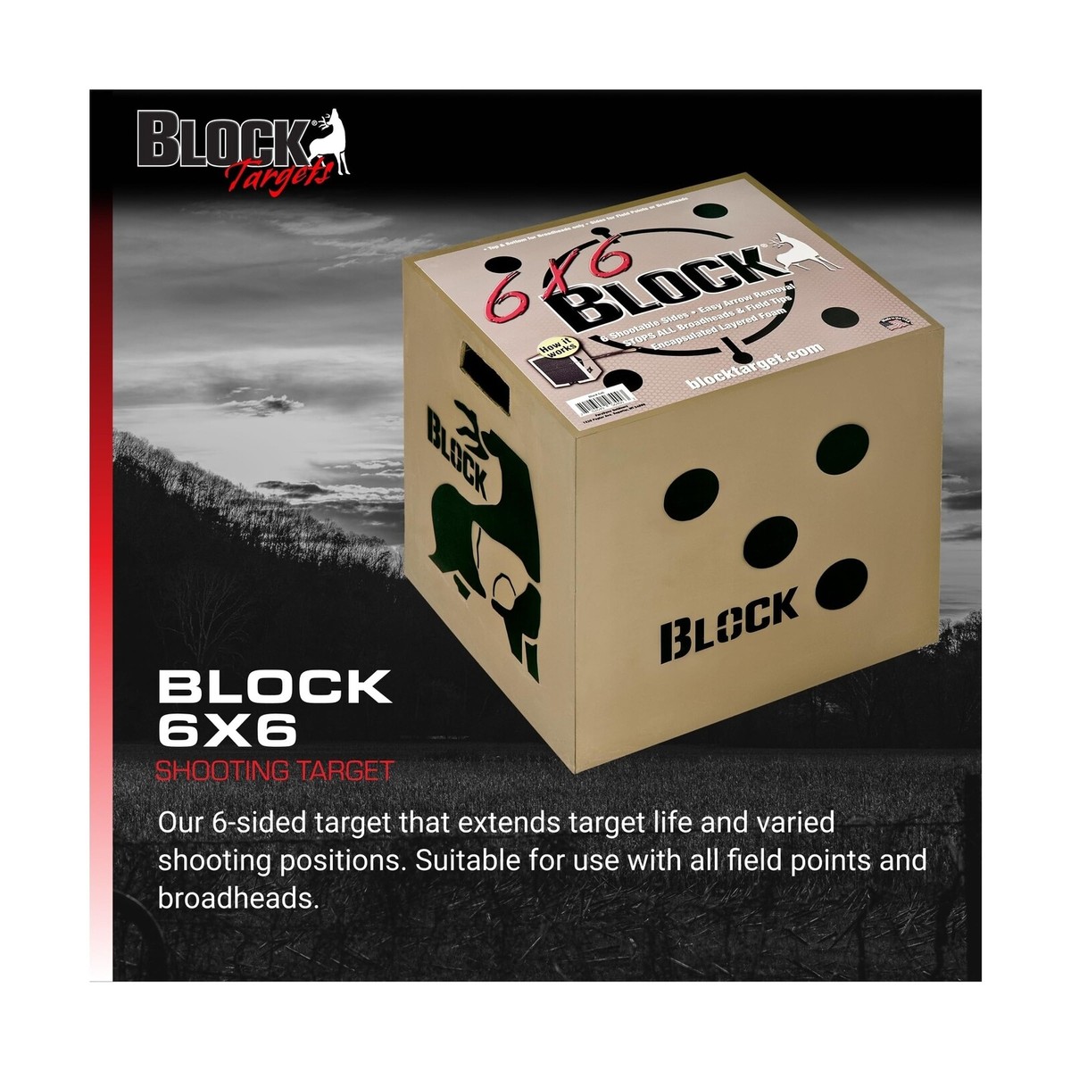 The Block Target Block Infinity 6 Sided Target (22