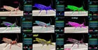 ARK Survival Ascended pve rhyniognatha RHYNIO XBOX PC PS5
