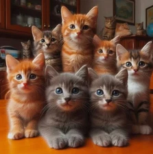 Digital image picture photo wallpaper POP ART 251