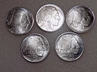 (5)1 Troy Ounce Silver Buffalo Rounds-Fresh Out of Tube of 14--157 Grams .9999