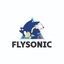 FLYSONIC STORE