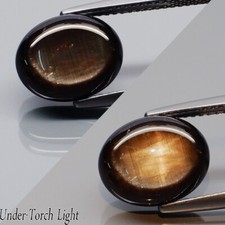 Star Sapphire 7.56ct Black 6 Ray Star Oval Cab 11.7x9.5x5.4mm Untreated Thailand