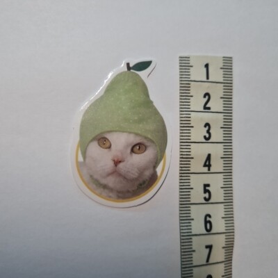 Cat Meme Funny Cute Derp Silly Hat Glanz Sticker Aufkleber Sammeln Geschenk Neu