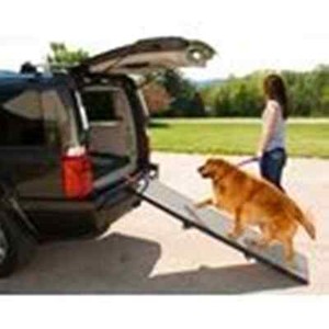 compact dog ramp
