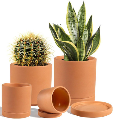 Terracotta Pots with Drainage and Saucers - 3.5/4.2/5.2/6.0 Inch Clay Planters S