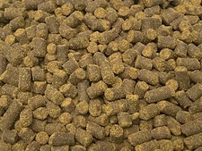ABF SOFT FOOD PELLETS Rangen,Fish,Aquatic Frogs,Axolotl,Sturgeon,6.3mm - ABF440