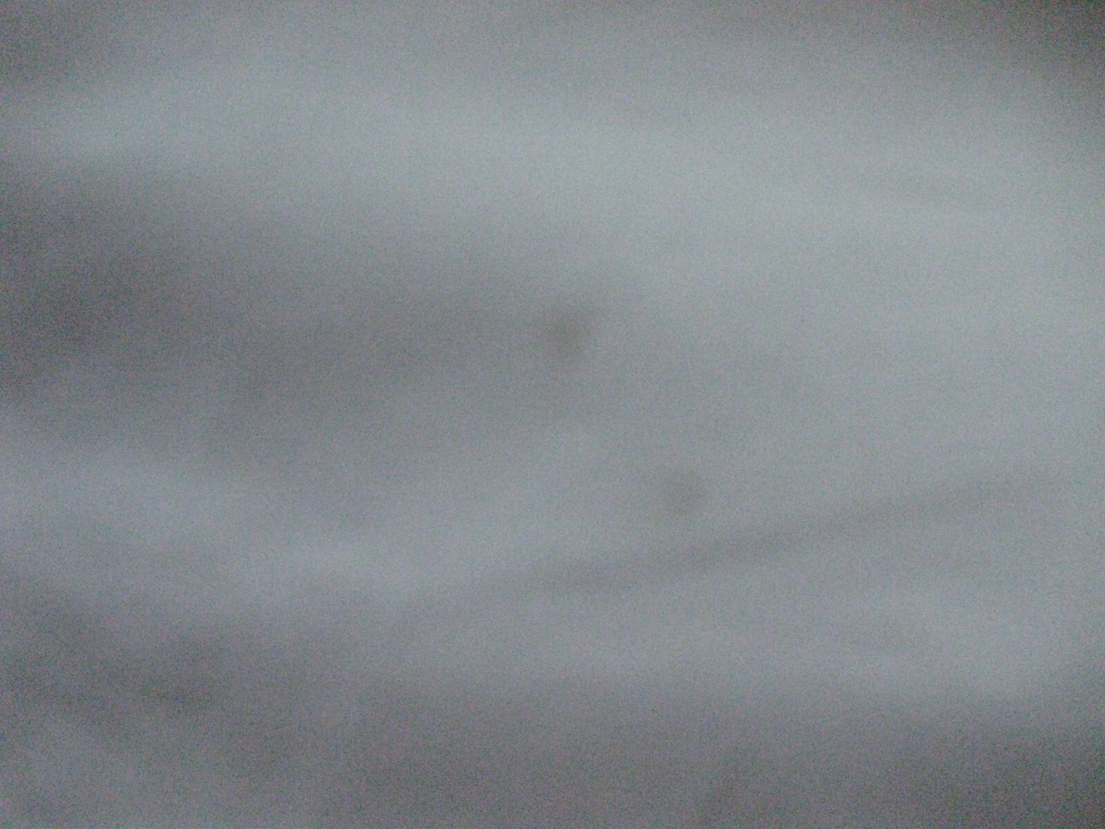 Picture 8 of 8