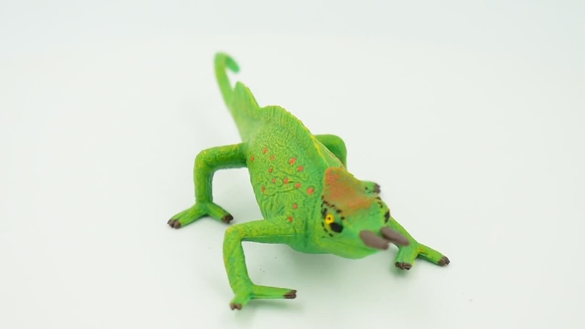 Lizard, Jackson's Horned Chameleon, Reptile, Realistic, Gift, 6