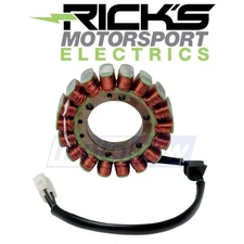 Ricks Motorsport Stator for 2010 Ducati 1198 S Corse - Electrical dw
