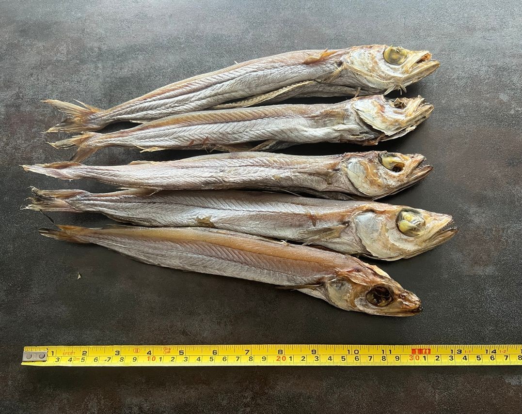 1 kg Fisch getrocknet Blauer Wittling gesalzen n. ausgenommen Bier Путассу