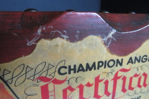 1970 Montana Champion Angler Zertifikat gestreift Bass Holz Plakette Messing Brads - Bild 20 von 21