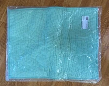 NEW Company Store Standard “Seaspray” Voille Pillow Sham