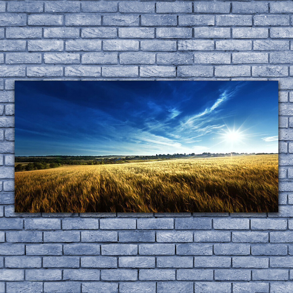 Image tableau impression 140x70 cm décoration murale nature ciel champ
