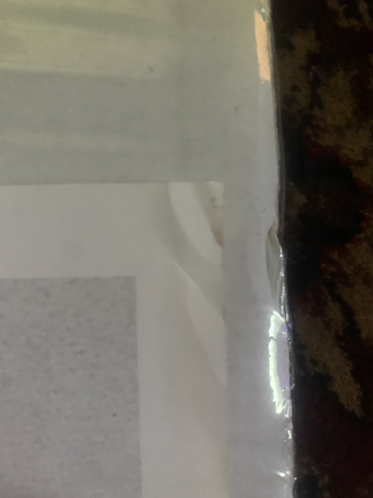 Picture 8 of 8