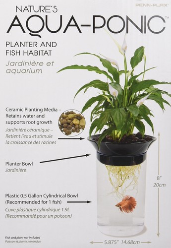 Plantador acuapónico y acuario Penn-Plax (APON1) para pecera Betta promueve... - Imagen 4 de 6