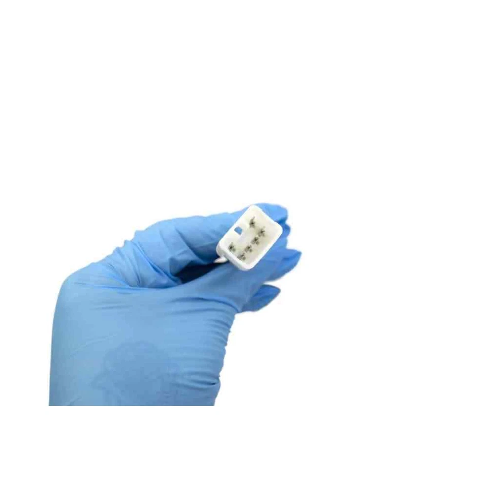 Módulo de bomba de combustível Autobest F1175A para 1997 Ford Escort, Mercury Tracer 2L - Imagem 4 de 4