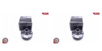 Esen SKV 2X Radnabe Radlagersatz Vorderachse Rechts Links FüR Mazda CX-7 ER