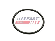 FAST Dichtung, Ansaugkrümmer FT49460 für DACIA RENAULT