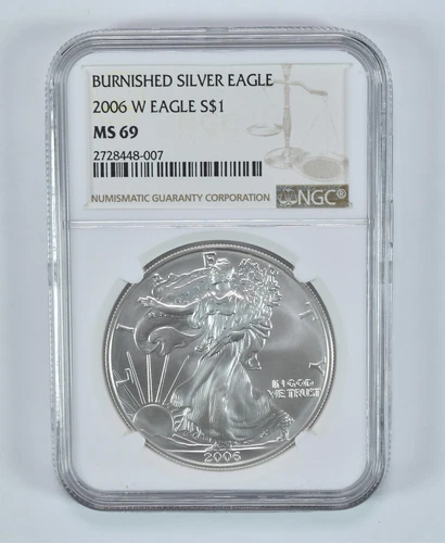 2006-W Burnished Silver Eagle MS69 NGC Brown Label *5699