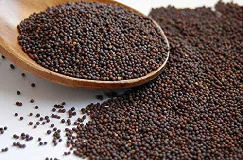 Indian Premium Brown Mustard Seeds, Small Sarso, Rai 100-1000gms FREE SHIP