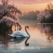 Digital Image Picture Photo Wallpaper Background Desktop AI Art Sample Product