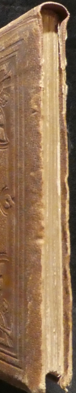 Picture 3 of 9