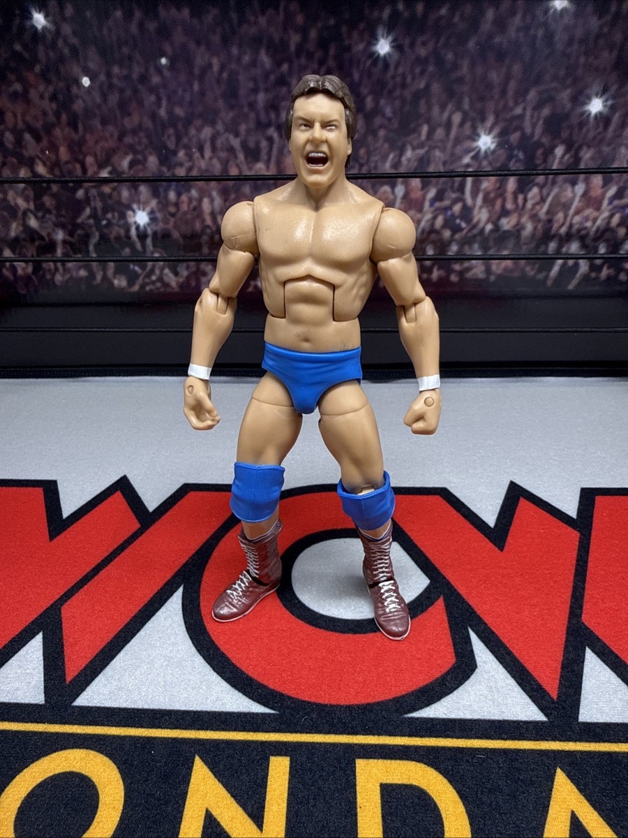 WWE Rowdy Roddy Piper Mattel Elite Legends Action Figure With Head