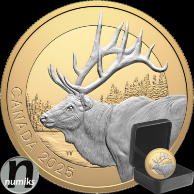 ELCH ELK vergoldet - Kanada 2025 - 1 Oz Silber PP / Proof - Animal Portraits BOX
