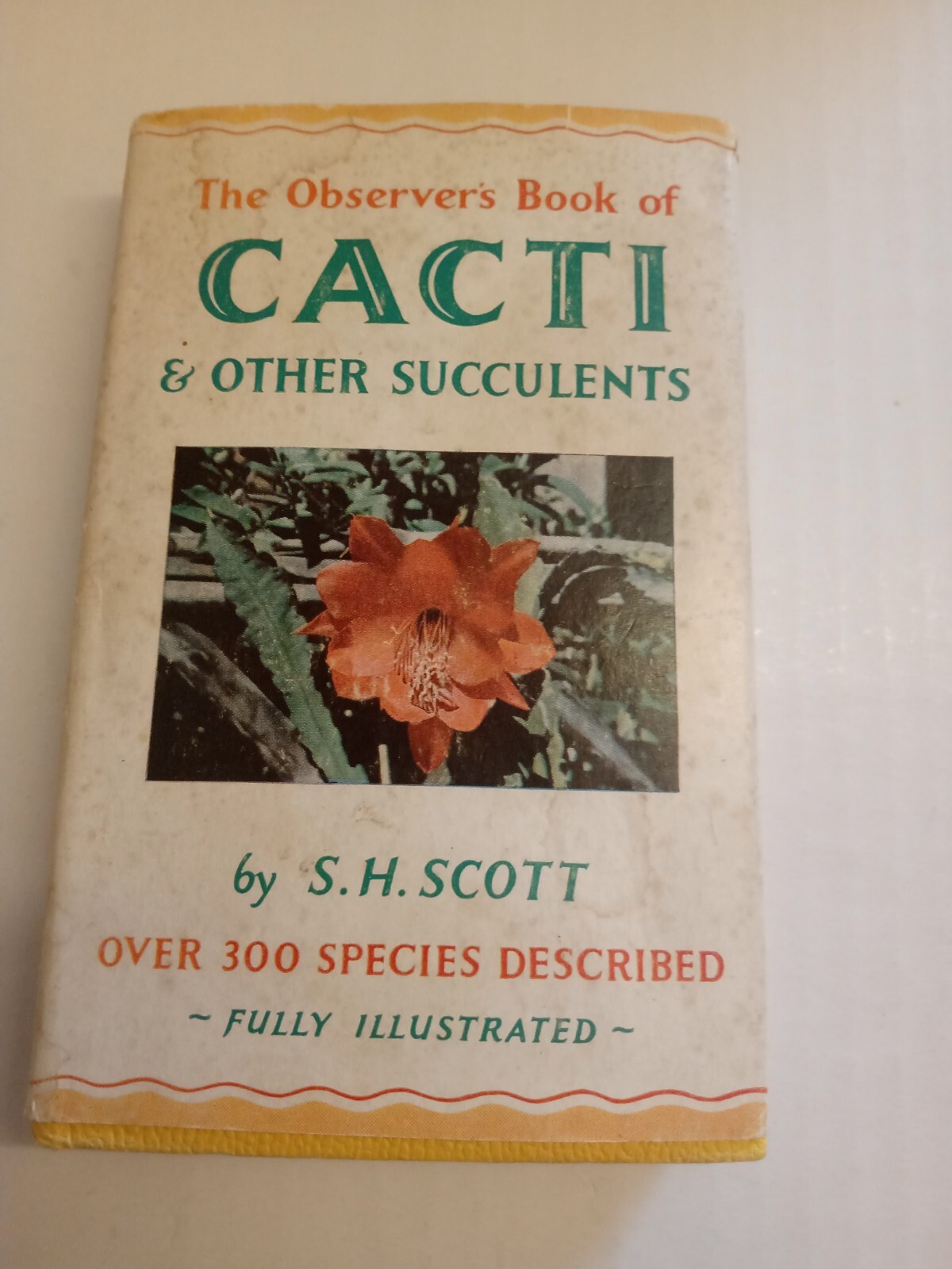 THE OBSERVER'S BOOK OF CACTI & OTHER SUCCULENTS - 1967 no.27