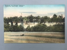 c 1910 SPRING VALLEY Minnesota DEER CREEK Horse Team FARM PLOW Antique Postcard