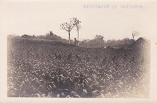 8 Original-Photographien aus der deutschen Ko...