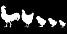 Chicken Family Love White Vinyl Graphic Decal Car Truck Window Laptop Notebook