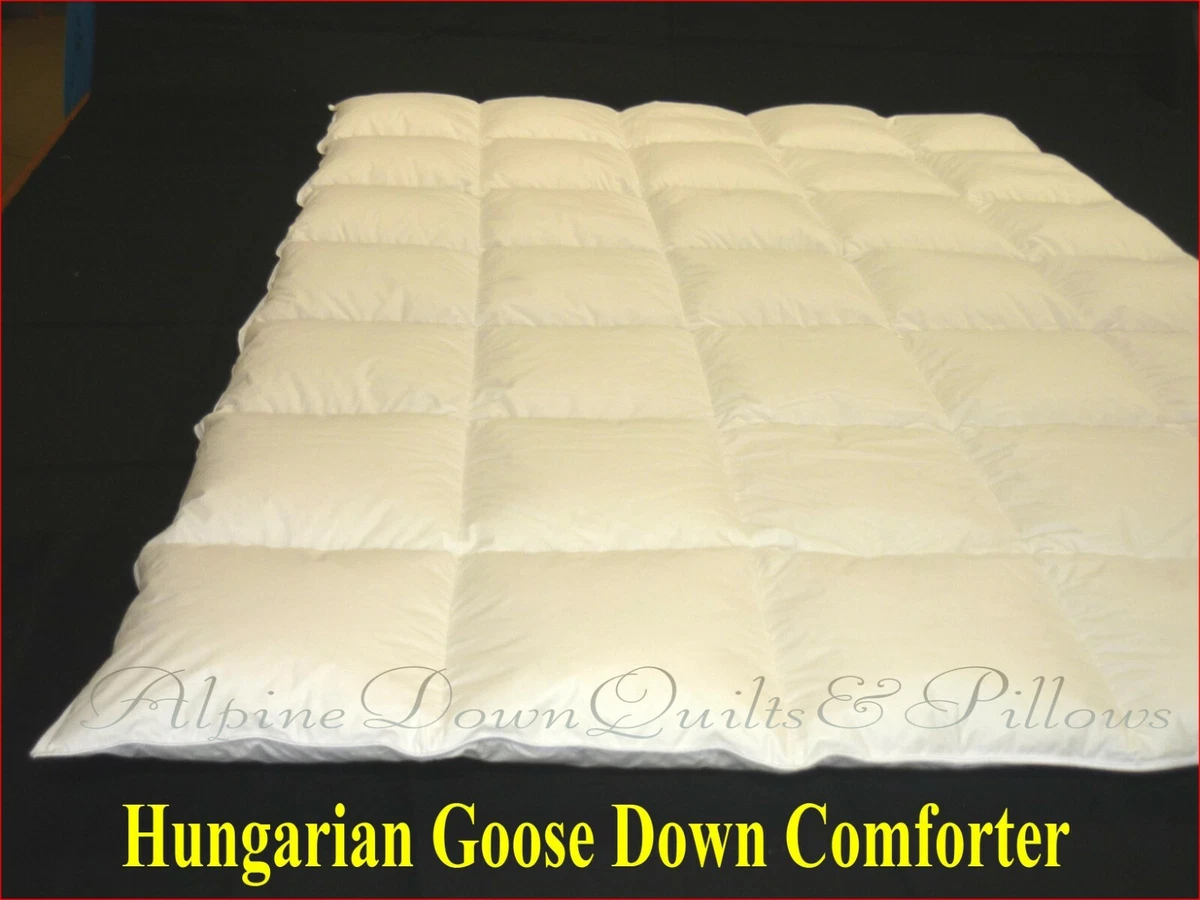 900 fill down comforter sale