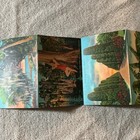 Florida Flowers & Trees Leporello Postcard Booklet, Posted Stamped, Divided Back — photo 3