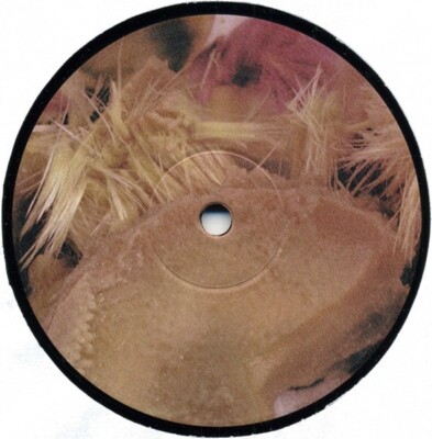 RICARDO VILLALOBOS ALCACHOFA レコード3枚組 Ricardo Villalobos / Alcachofa 2003 German 3LP Playhouse