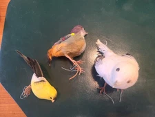 3 Vintage feathered Bird Christmas Ornaments wire on at feet, used.