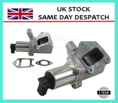 Ssangyong egr remover