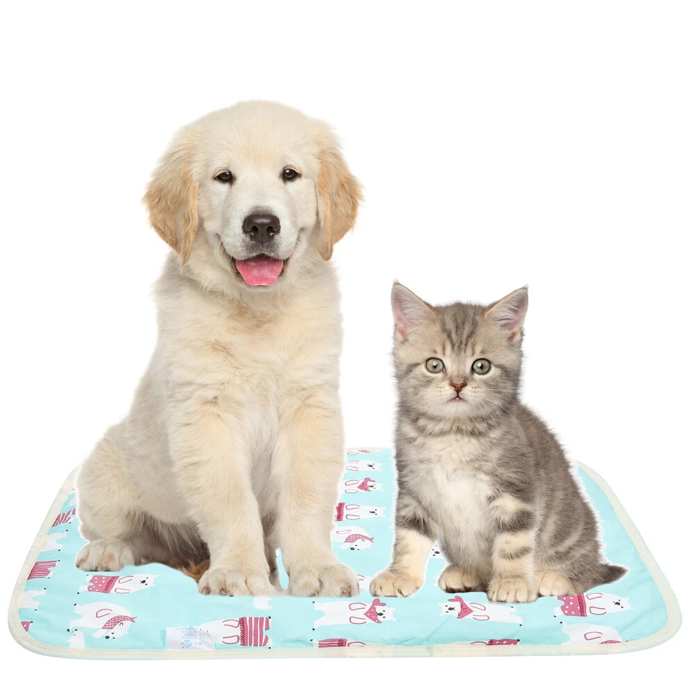 Puppy pads washable sale