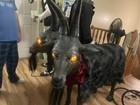 Party City Light-Up Contaminated Kid 2-Headed Goat Retired Halloween Prop W/box — photo 10