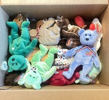 19 Ty Beanie Baby Collection Random Variety. All Great Condition Tags In Place