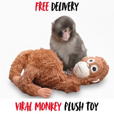 New Viral Punch Monkey Plush Toy   66cm Extra Large Kawaii Soft Stuffed Animal