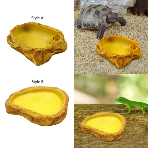 INGJIA Coupelle Tortue Terrestre, Mangeoire Tortue D'eau, Bol D'alimentation De Reptile