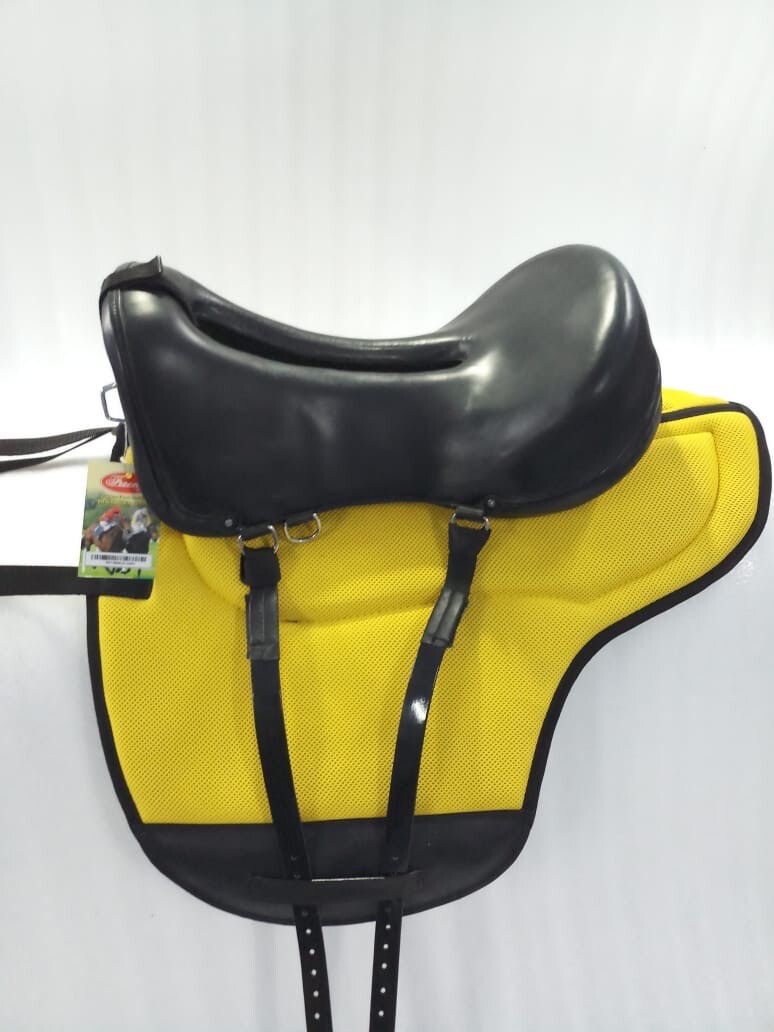 New Freeny Leather Endurance Saddle Set