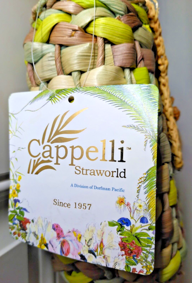 Cappelli Straworld Bag BOHO Floral Woven Beach Purse Spring Summer NWT