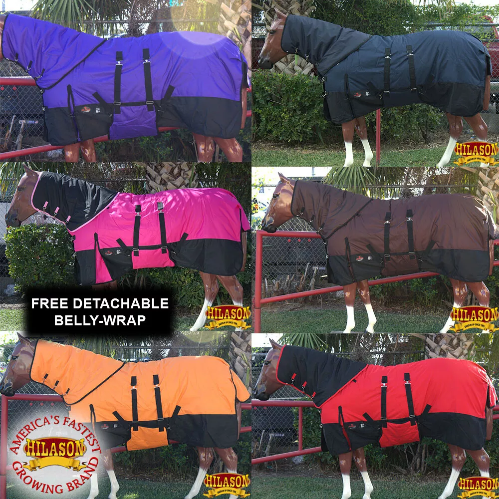 Winter 2024 horse blanket