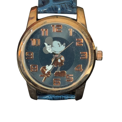 s-l400.jpg display picture 2