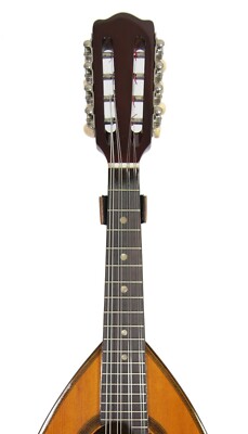 SUZUKI 13弦琴 ダークブラウン SUZUKI 13弦琴 ダークブラウン SUZUKI 13弦琴 ダークブラウン SUZUKI